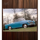 Металлическая табличка Skoda Felicia (Type 994)